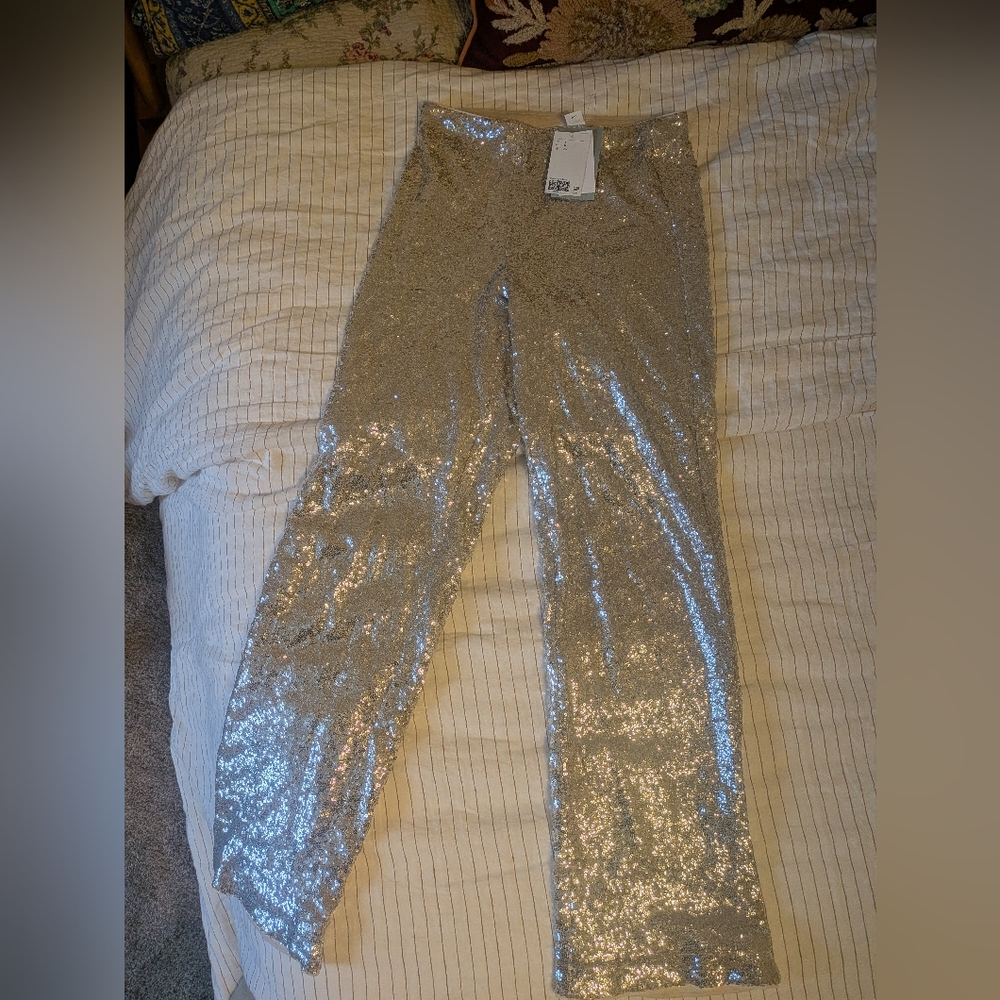 H&M Silver Sequin Pants